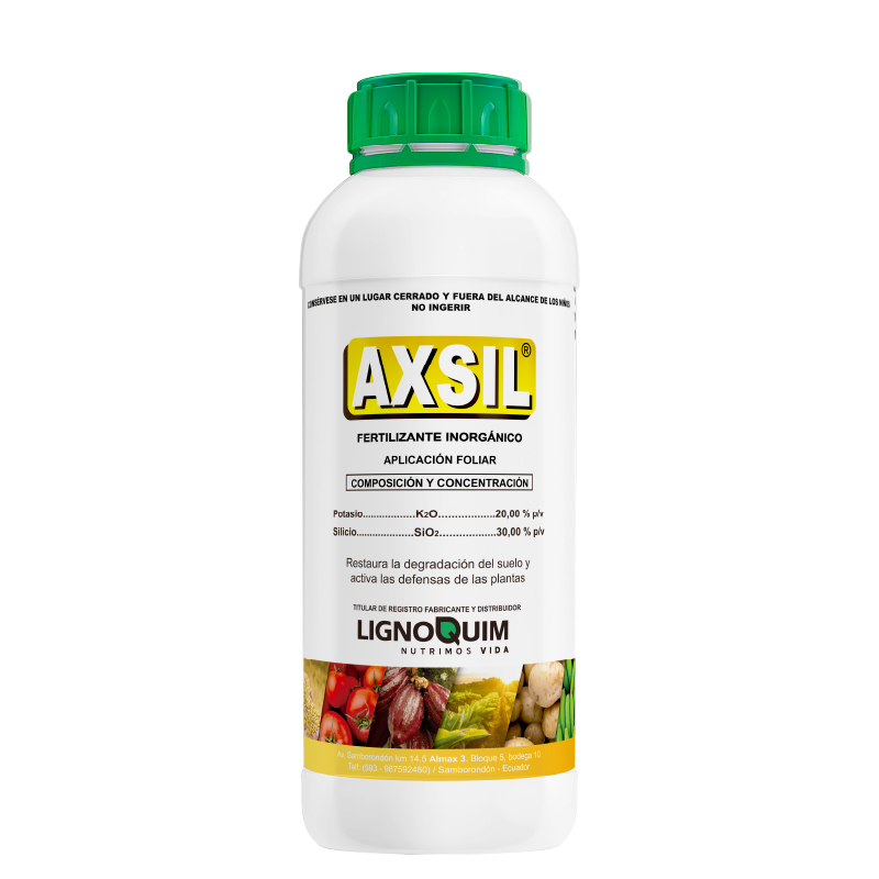 Axsil
