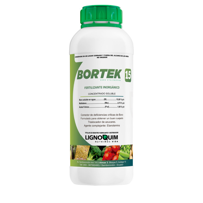 Bortek
