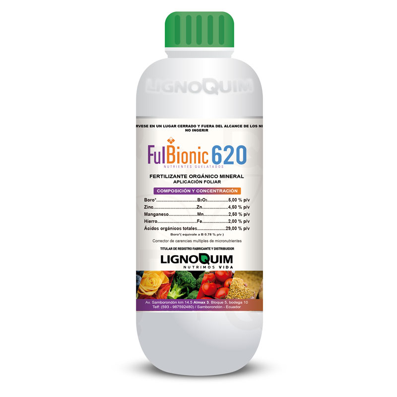 Fulbionic 620