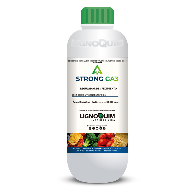 Strong GA3