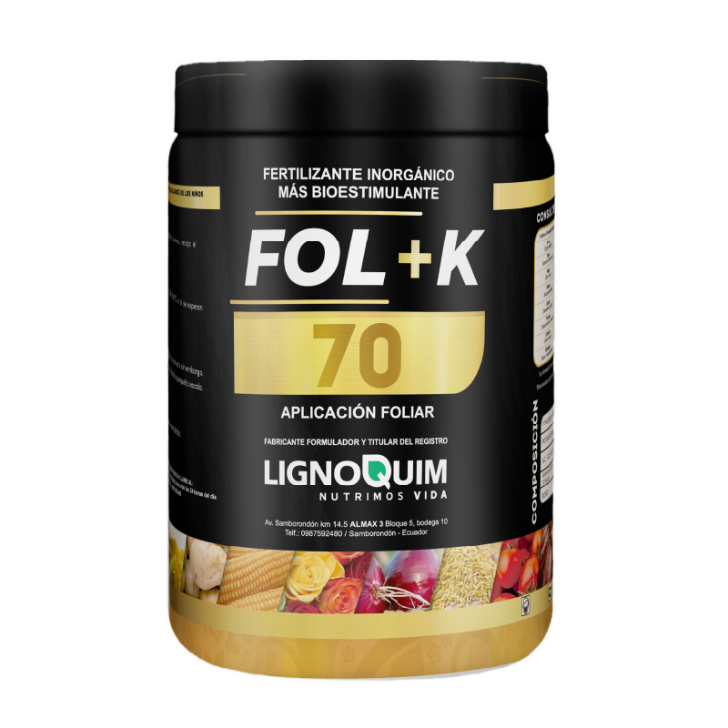 Fol+K 70