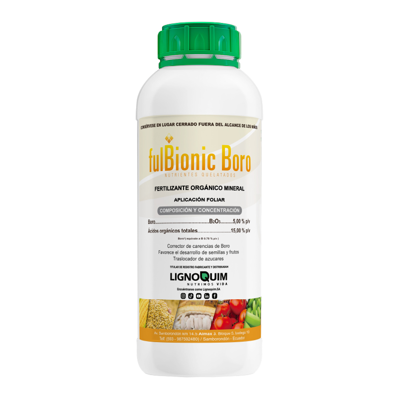 Fulbionic Boro