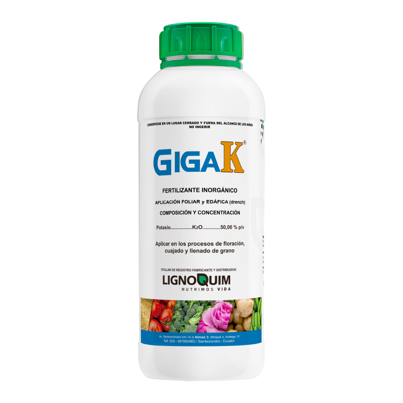 GigaK