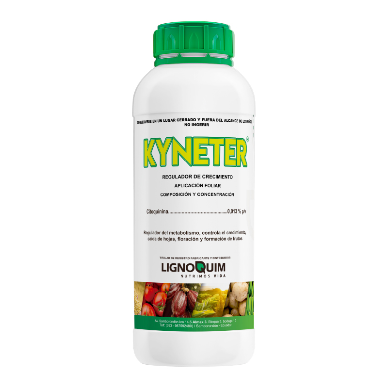 Kyneter