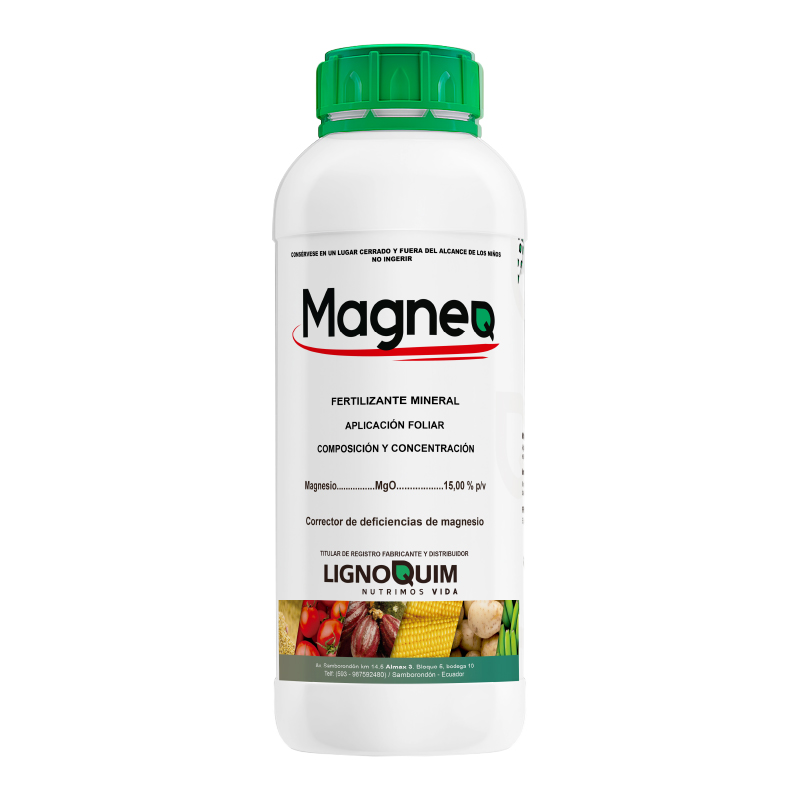 MagneQ