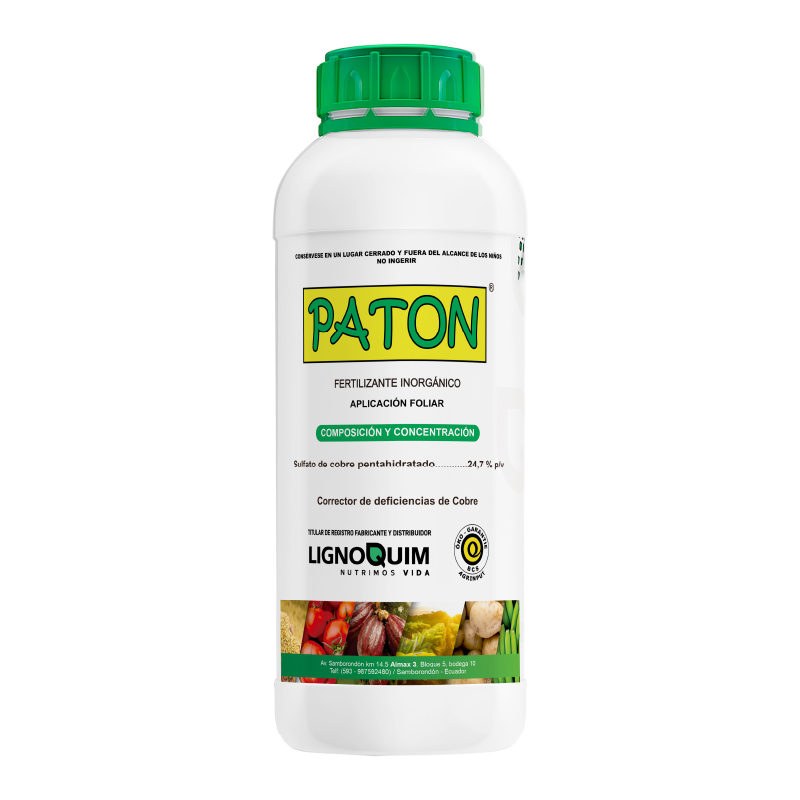 Paton