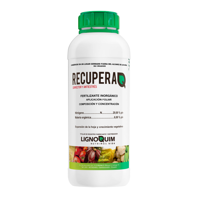 RecuperaQ