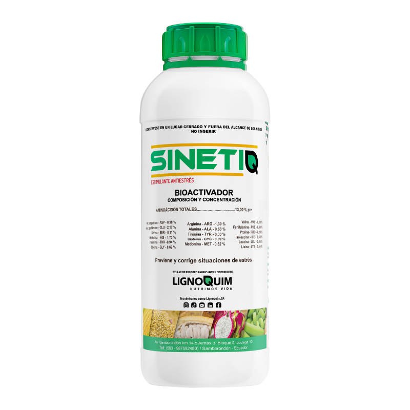 Sinetiq