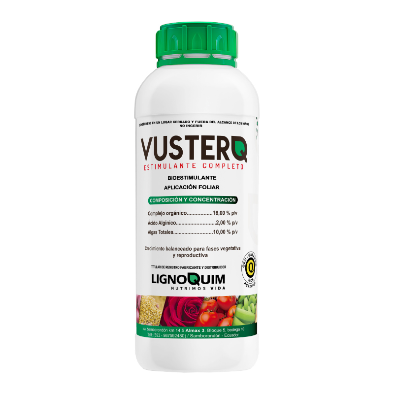 VusterQ